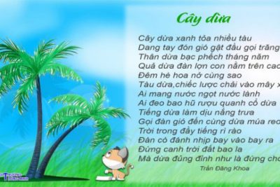 BÀI THƠ CÂY DỪA