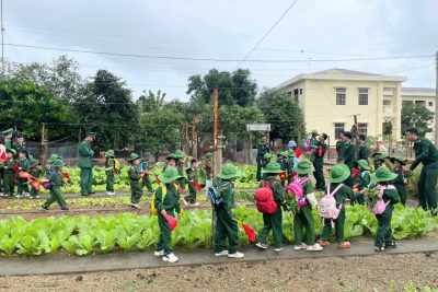 Thông báo việc đánh giá giáo viên, cán bộ QLCS GDMN trên phần mềm TEMIS